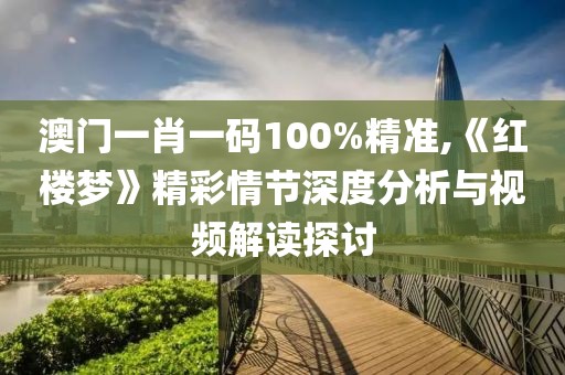 澳门一肖一码100%精准,《红楼梦》精彩情节深度分析与视频解读探讨