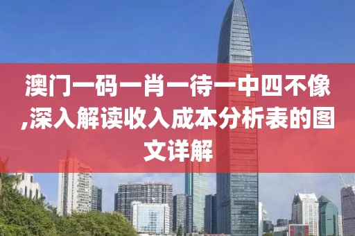 澳门一码一肖一待一中四不像,深入解读收入成本分析表的图文详解