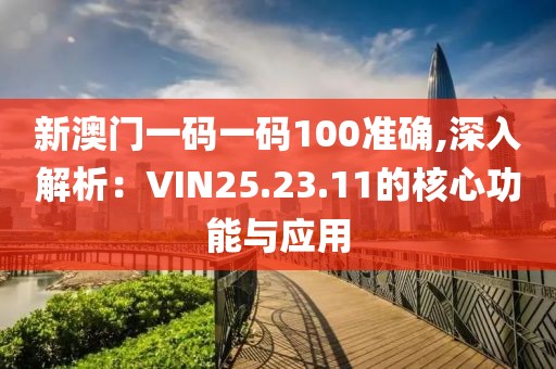 新澳门一码一码100准确,深入解析：VIN25.23.11的核心功能与应用