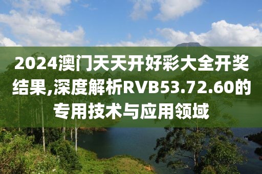 2024澳门天天开好彩大全开奖结果,深度解析RVB53.72.60的专用技术与应用领域