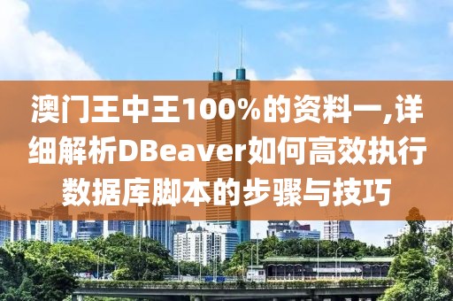澳门王中王100%的资料一,详细解析DBeaver如何高效执行数据库脚本的步骤与技巧