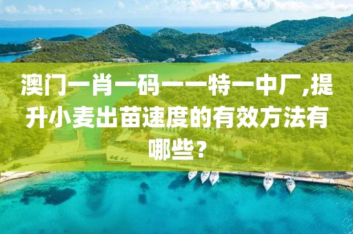 澳门一肖一码一一特一中厂,提升小麦出苗速度的有效方法有哪些？