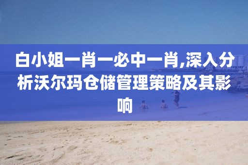 白小姐一肖一必中一肖,深入分析沃尔玛仓储管理策略及其影响