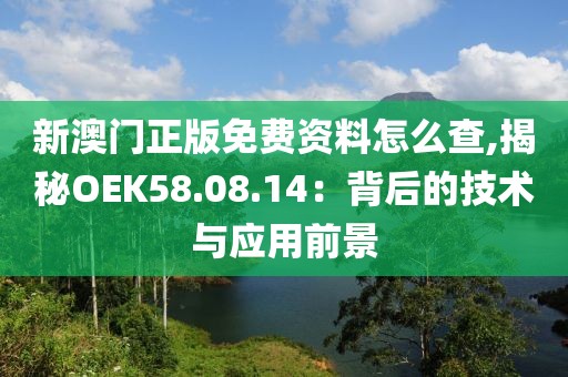 新澳门正版免费资料怎么查,揭秘OEK58.08.14：背后的技术与应用前景
