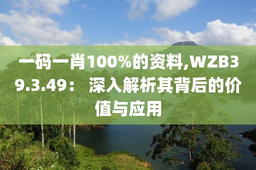一码一肖100%的资料,WZB39.3.49： 深入解析其背后的价值与应用