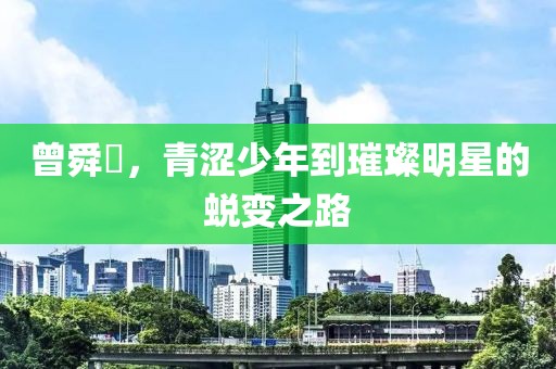 曾舜晞，青涩少年到璀璨明星的蜕变之路