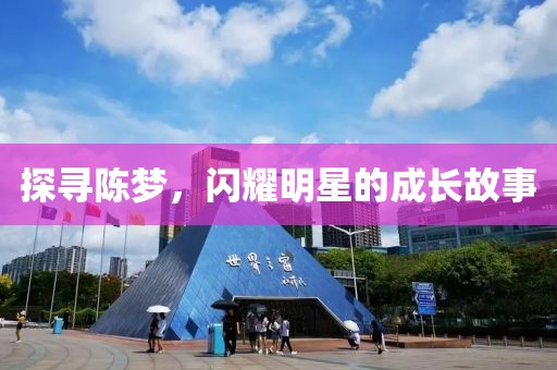 探寻陈梦，闪耀明星的成长故事