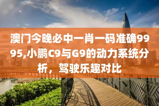 澳门今晚必中一肖一码准确9995,小鹏C9与G9的动力系统分析，驾驶乐趣对比