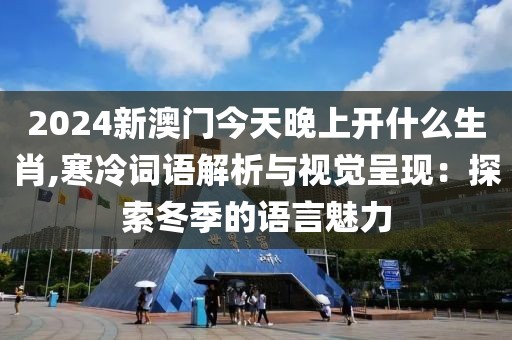 2024新澳门今天晚上开什么生肖,寒冷词语解析与视觉呈现：探索冬季的语言魅力
