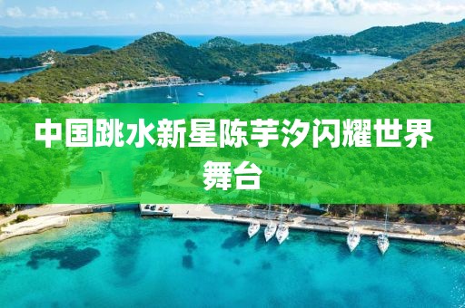 中国跳水新星陈芋汐闪耀世界舞台