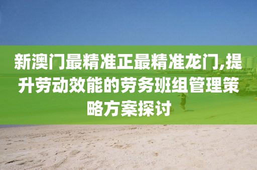新澳门最精准正最精准龙门,提升劳动效能的劳务班组管理策略方案探讨
