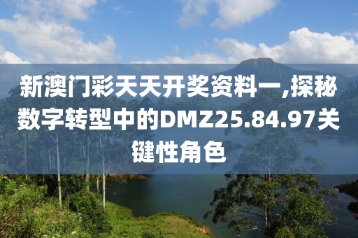 新澳门彩天天开奖资料一,探秘数字转型中的DMZ25.84.97关键性角色