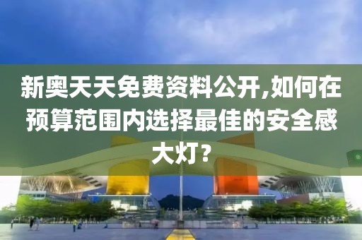 新奥天天免费资料公开,如何在预算范围内选择最佳的安全感大灯？