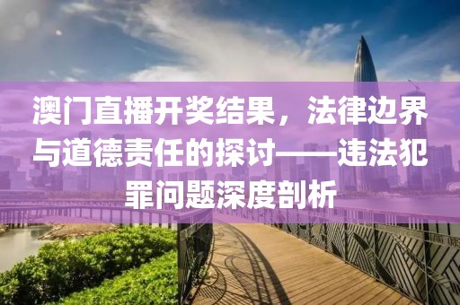 澳门直播开奖结果，法律边界与道德责任的探讨——违法犯罪问题深度剖析
