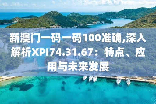 新澳门一码一码100准确,深入解析XPI74.31.67：特点、应用与未来发展