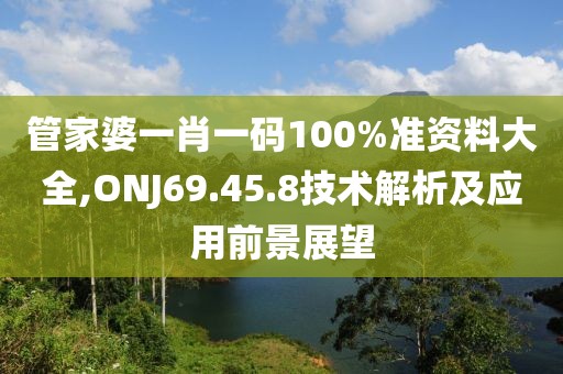 管家婆一肖一码100%准资料大全,ONJ69.45.8技术解析及应用前景展望