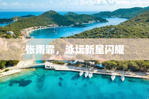 张雨霏，泳坛新星闪耀