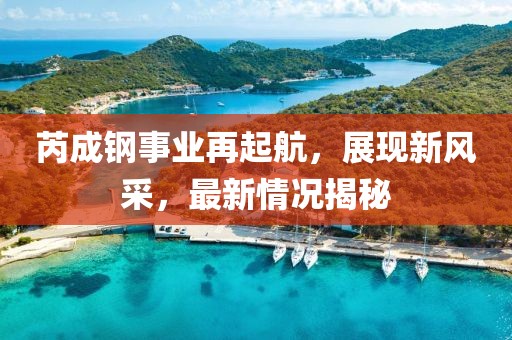 芮成钢事业再起航，展现新风采，最新情况揭秘
