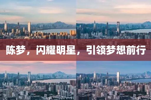 陈梦，闪耀明星，引领梦想前行