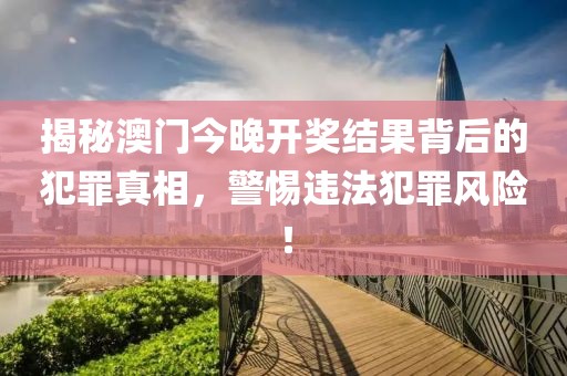揭秘澳门今晚开奖结果背后的犯罪真相，警惕违法犯罪风险！