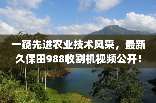 尸体制造ヤ者 第41页