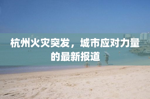 杭州火灾突发，城市应对力量的最新报道