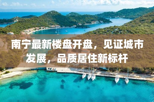 南宁最新楼盘开盘，见证城市发展，品质居住新标杆