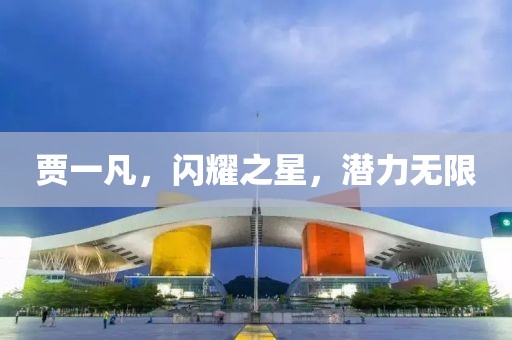 贾一凡，闪耀之星，潜力无限