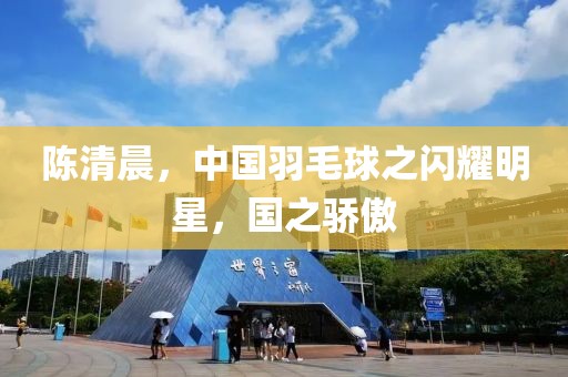 陈清晨，中国羽毛球之闪耀明星，国之骄傲