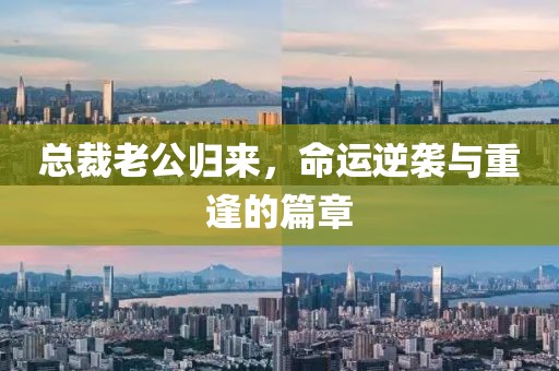 总裁老公归来，命运逆袭与重逢的篇章