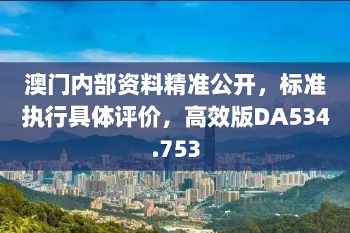 澳门内部资料精准公开，标准执行具体评价，高效版DA534.753