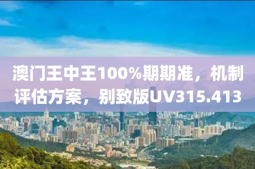 澳门王中王100%期期准，机制评估方案，别致版UV315.413