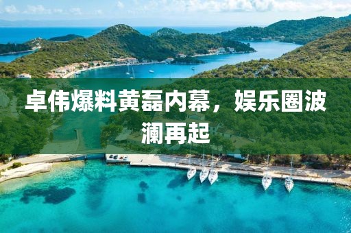 卓伟爆料黄磊内幕，娱乐圈波澜再起