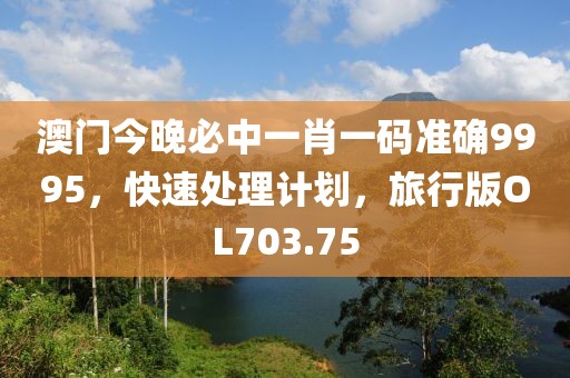 澳门今晚必中一肖一码准确9995，快速处理计划，旅行版OL703.75