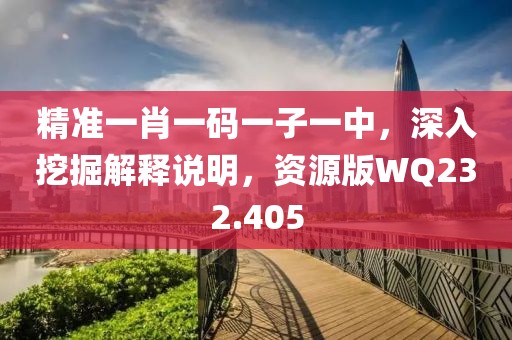 精准一肖一码一子一中，深入挖掘解释说明，资源版WQ232.405