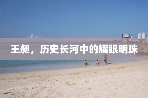 王昶