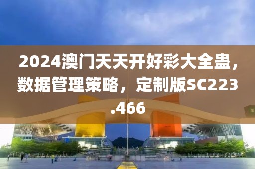 2024澳门天天开好彩大全蛊，数据管理策略，定制版SC223.466