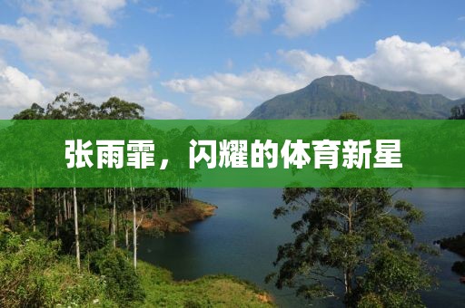 张雨霏，闪耀的体育新星