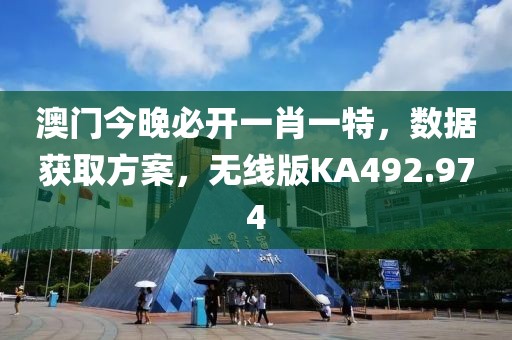 澳门今晚必开一肖一特，数据获取方案，无线版KA492.974