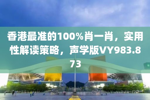 香港最准的100%肖一肖，实用性解读策略，声学版VY983.873