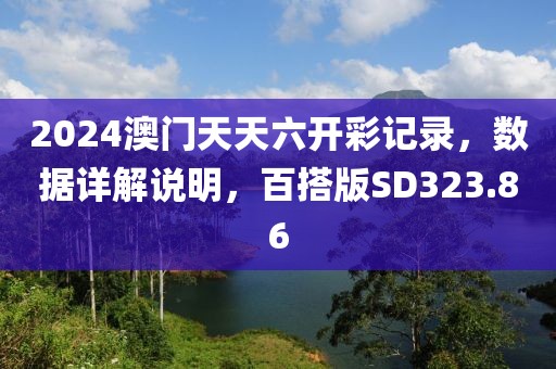 2024澳门天天六开彩记录，数据详解说明，百搭版SD323.86