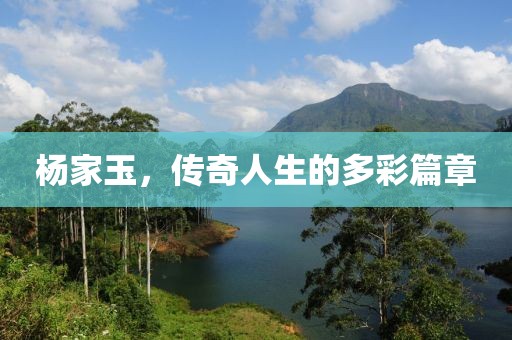 杨家玉，传奇人生的多彩篇章