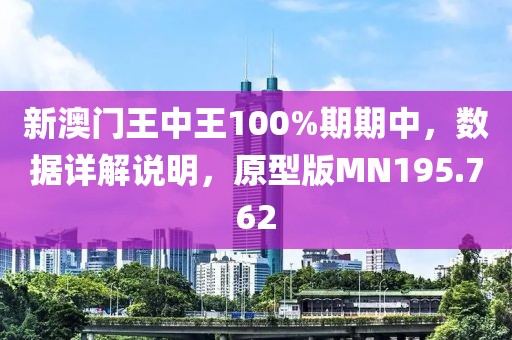 新澳门王中王100%期期中，数据详解说明，原型版MN195.762
