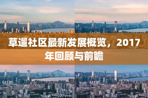 草遛社区最新发展概览，2017年回顾与前瞻