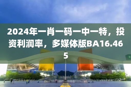 2024年一肖一码一中一特，投资利润率，多媒体版BA16.465