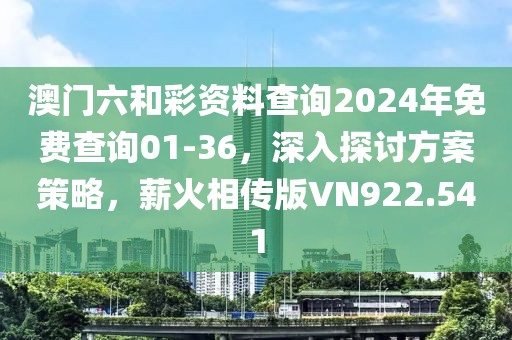 澳门六和彩资料查询2024年免费查询01-36，深入探讨方案策略，薪火相传版VN922.541