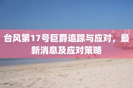 台风第17号巨爵追踪与应对，最新消息及应对策略