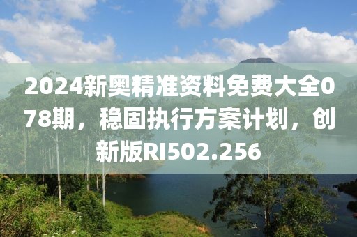 2024新奥精准资料免费大全078期，稳固执行方案计划，创新版RI502.256
