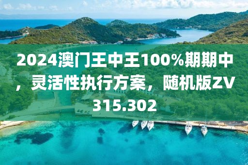 2024澳门王中王100%期期中，灵活性执行方案，随机版ZV315.302
