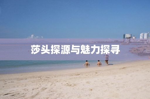 莎头探源与魅力探寻